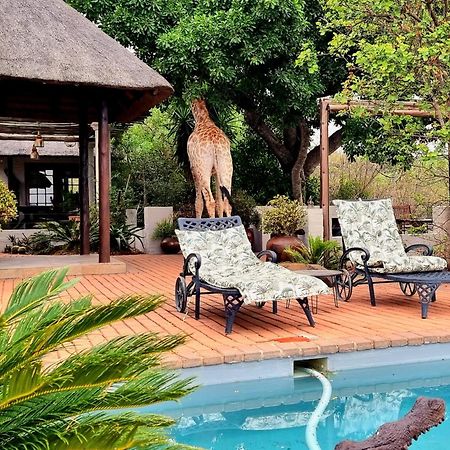 Graceland Eco Retreat Magoebaskloof Εξωτερικό φωτογραφία