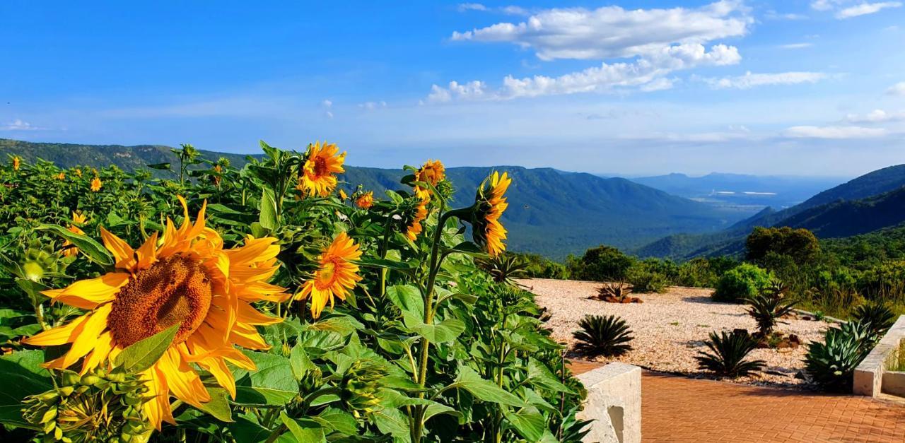 Graceland Eco Retreat Magoebaskloof Εξωτερικό φωτογραφία