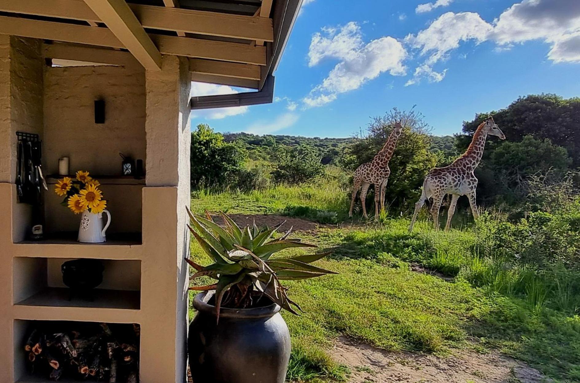 Graceland Eco Retreat Magoebaskloof Εξωτερικό φωτογραφία