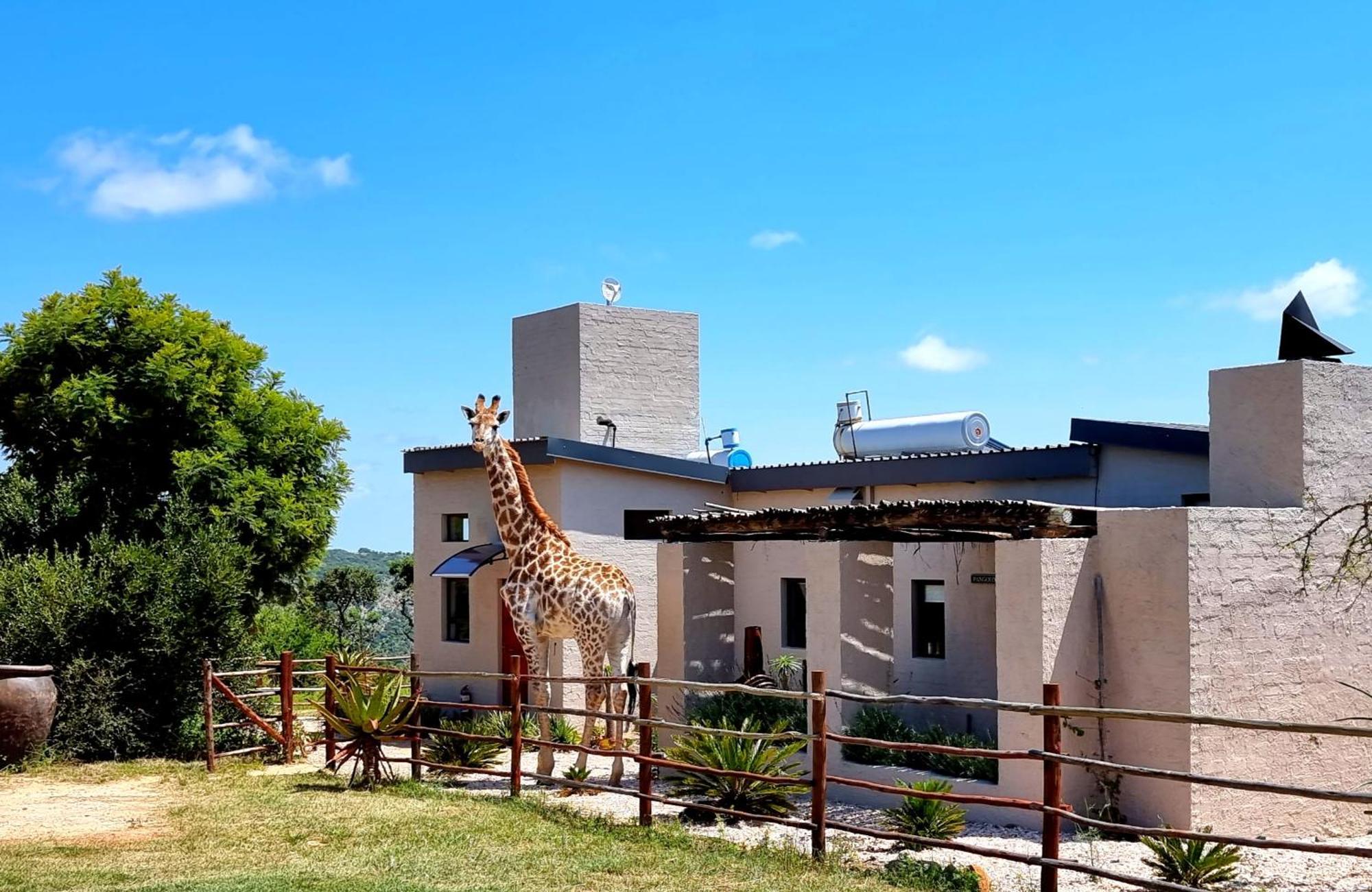 Graceland Eco Retreat Magoebaskloof Εξωτερικό φωτογραφία