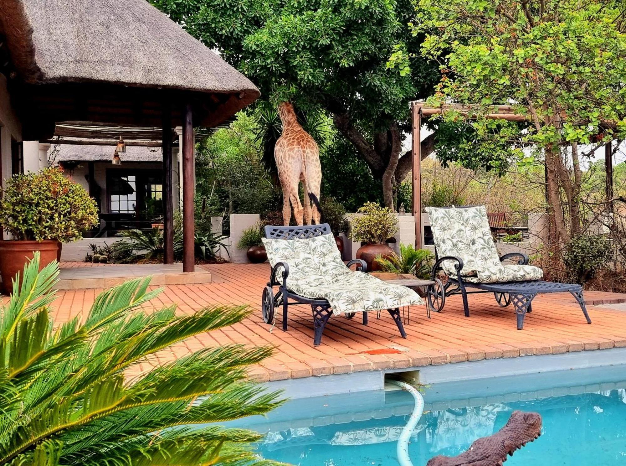 Graceland Eco Retreat Magoebaskloof Εξωτερικό φωτογραφία