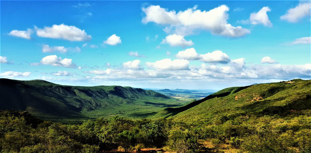 Graceland Eco Retreat Magoebaskloof Εξωτερικό φωτογραφία
