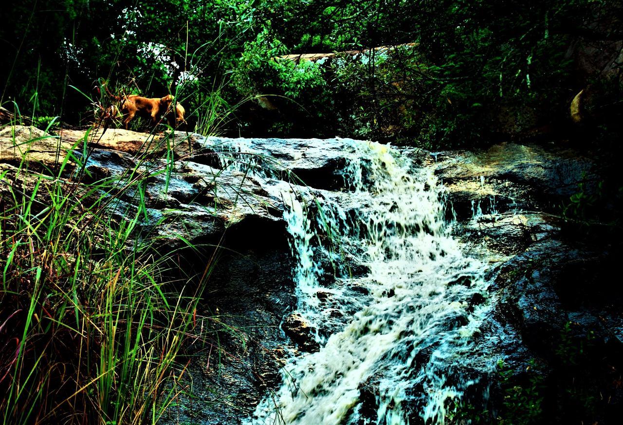 Graceland Eco Retreat Magoebaskloof Εξωτερικό φωτογραφία